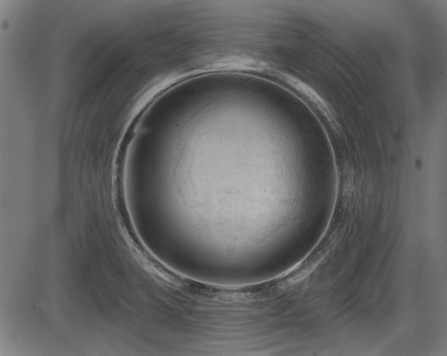 X0000083611423200702121104