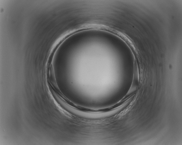 X0000083611430200702121104