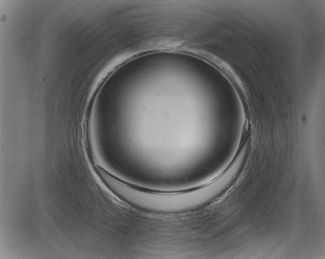 X0000083611432200702121104