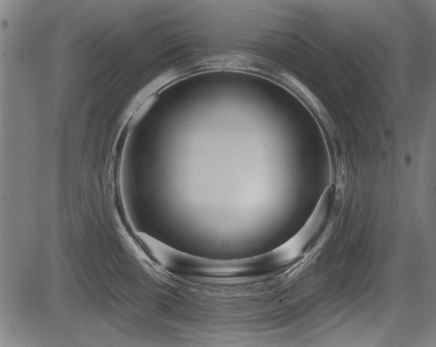 X0000083611434200702121104
