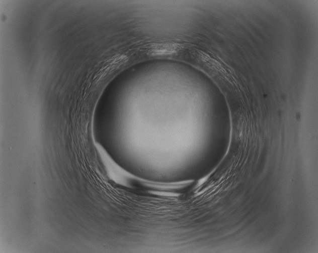 X0000083611441200702121103