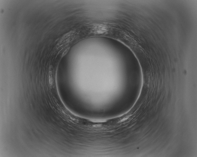 X0000083611442200702121103