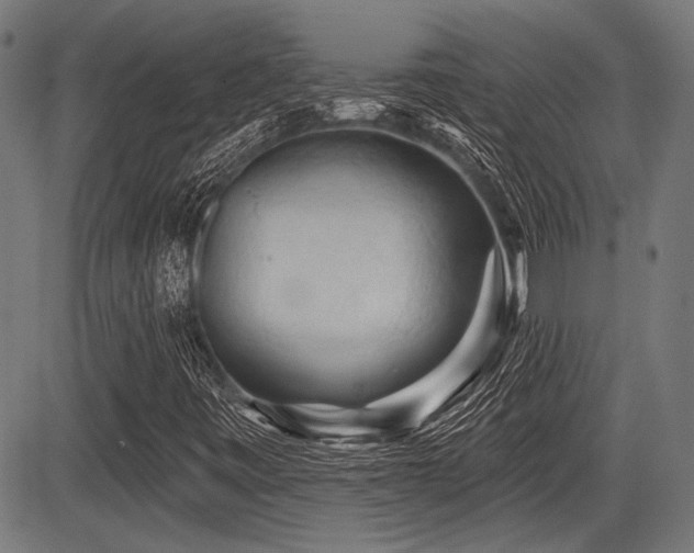 X0000083611443200702121103
