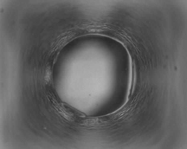 X0000083611444200702121103