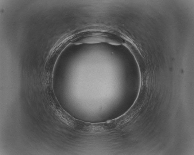 X0000083611448200702121103