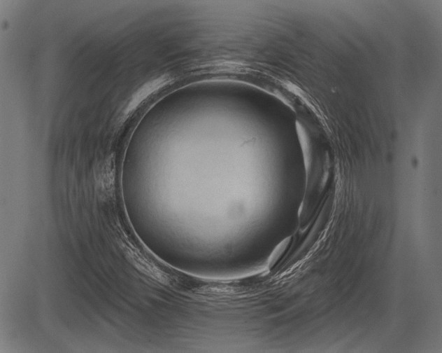 X0000083611450200702121103