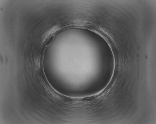 X0000083611451200702121103