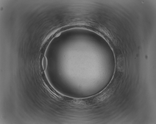 X0000083611452200702121103