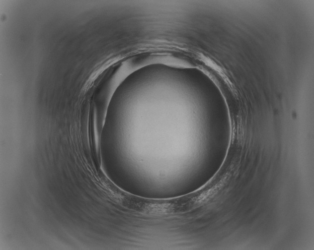 X0000083611453200702121103
