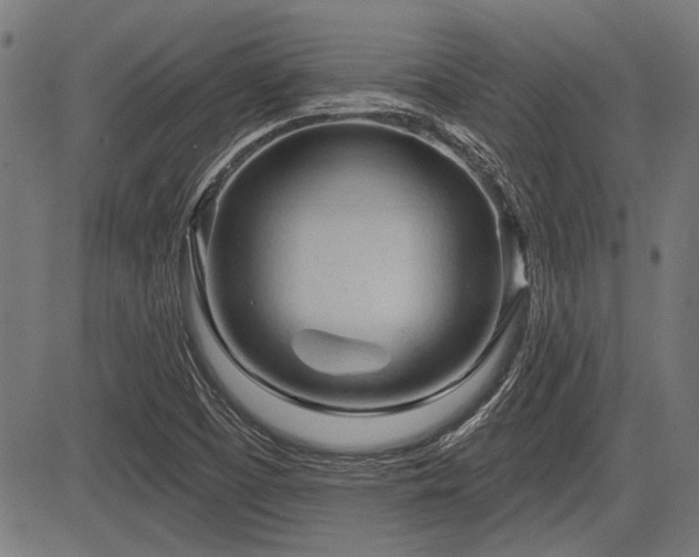 X0000083611457200702121103