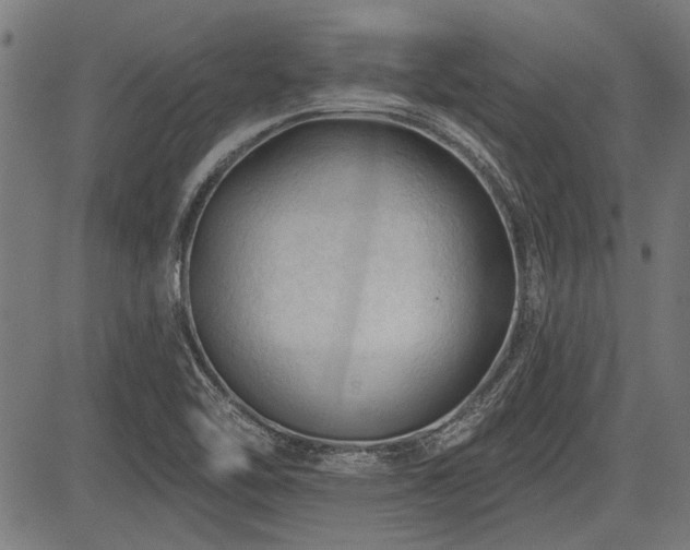 X0000083611462200702121103