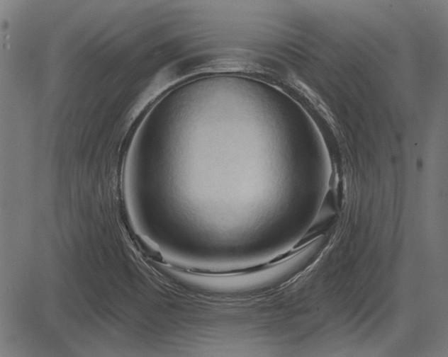 X0000083611465200702121103