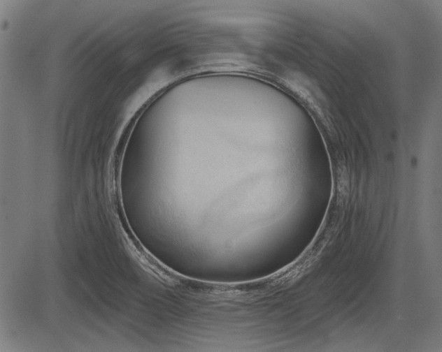 X0000083611466200702121103