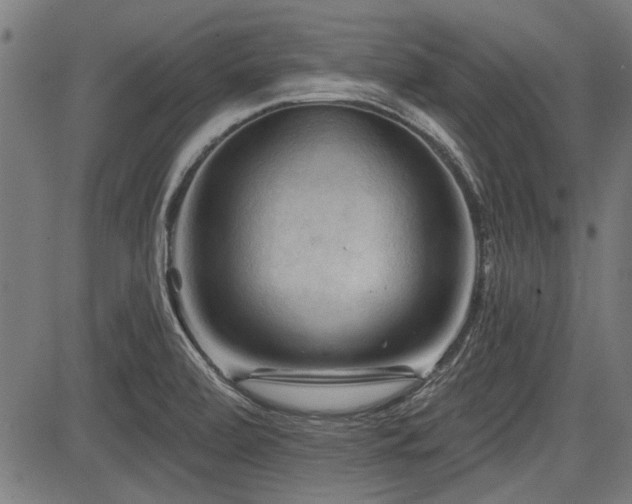 X0000083611472200702121103