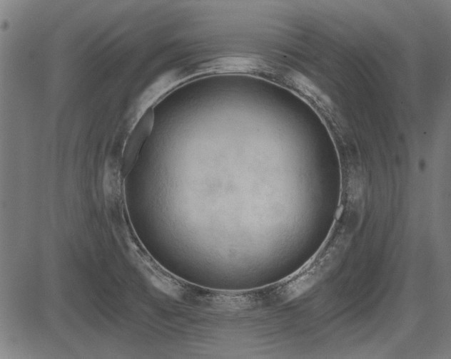 X0000083611473200702121103
