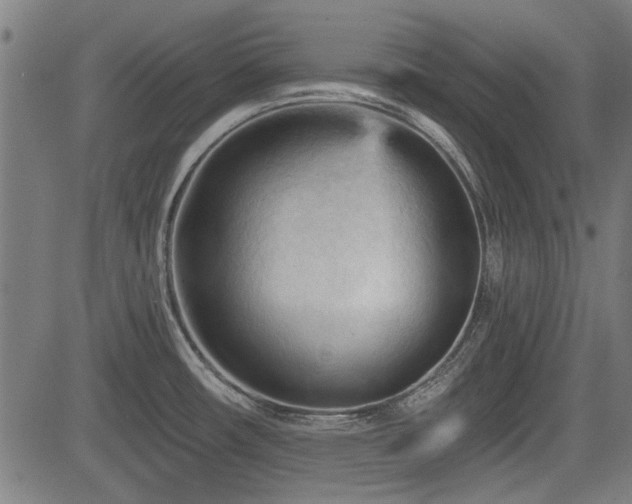 X0000083611482200702121103