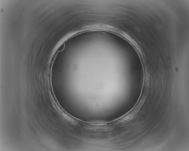X0000083611486200702121103