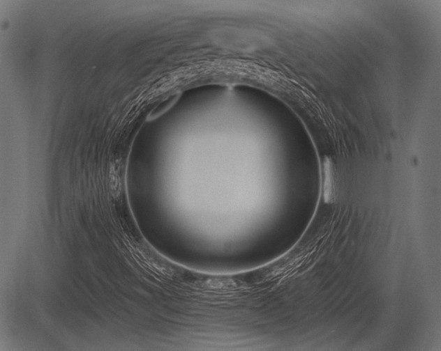 X0000083611491200702121102