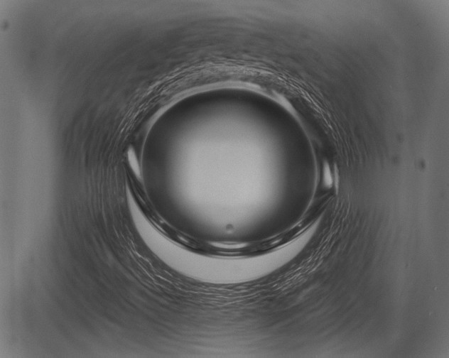X0000083611492200702121102