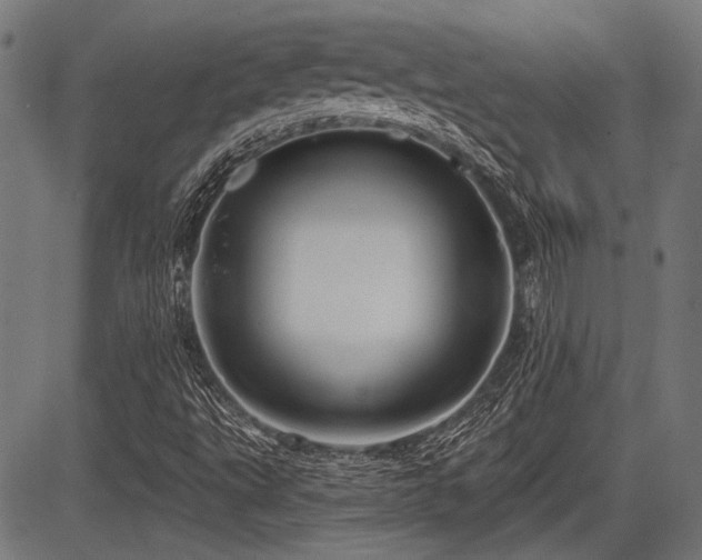 X0000083611495200702121102