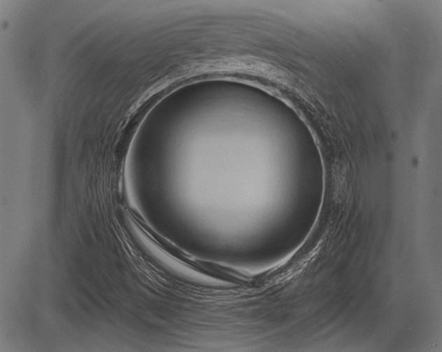 X0000083611497200702121102
