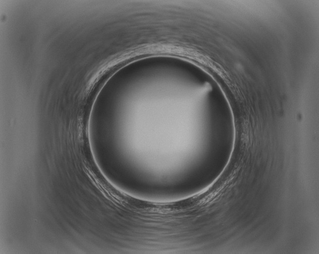 X0000083611499200702121102