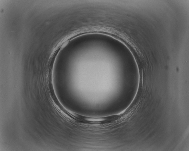 X0000083611500200702121102