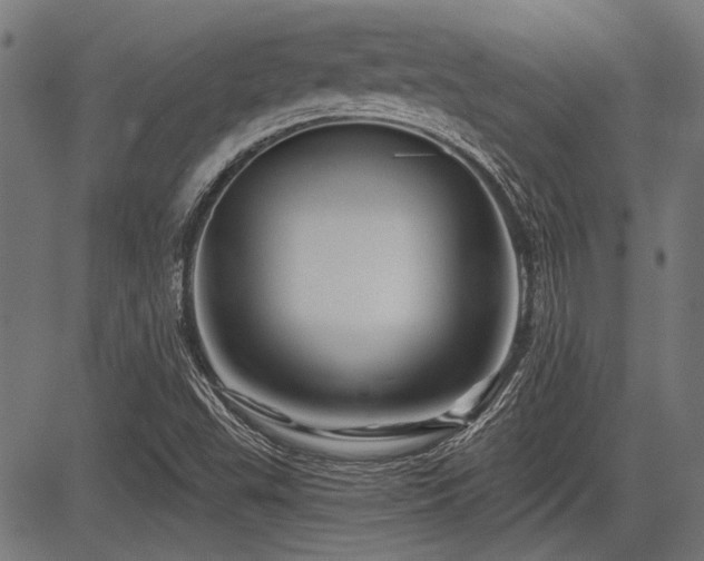 X0000083611503200702121102