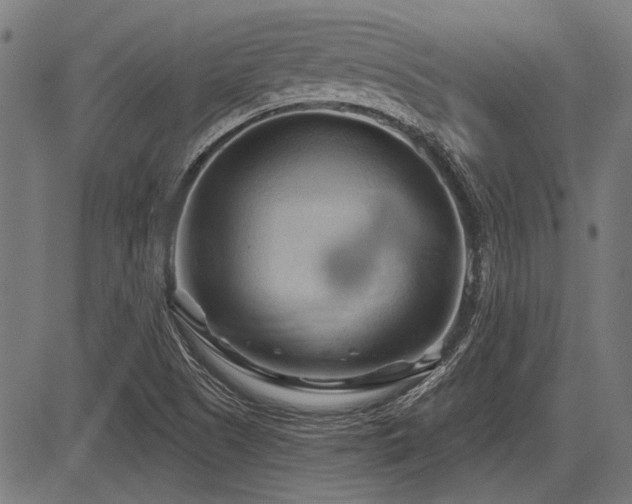 X0000083611505200702121102