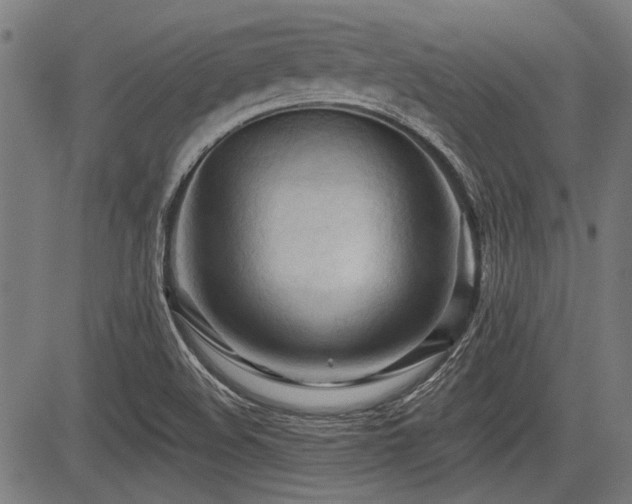 X0000083611508200702121102