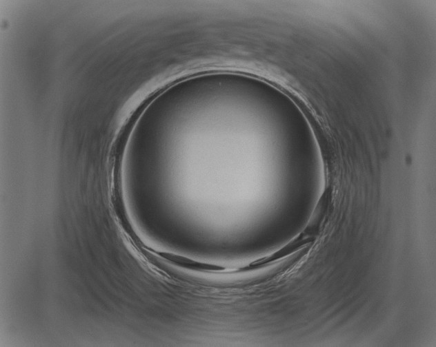 X0000083611511200702121102