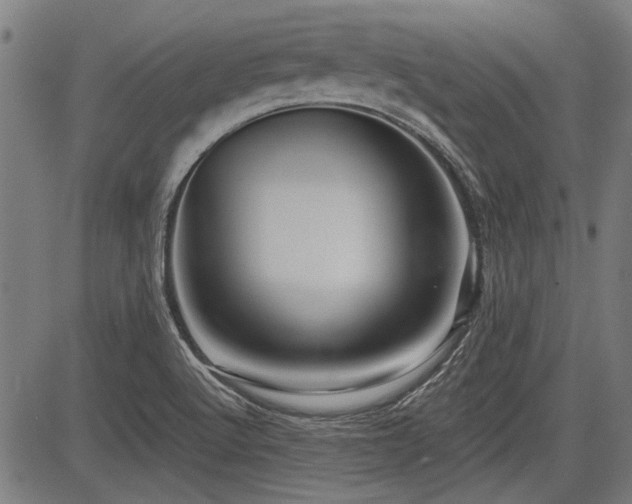 X0000083611512200702121102