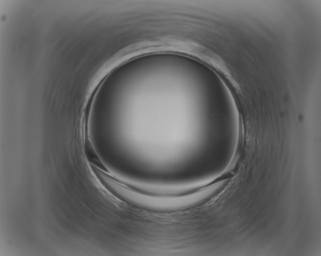 X0000083611516200702121102
