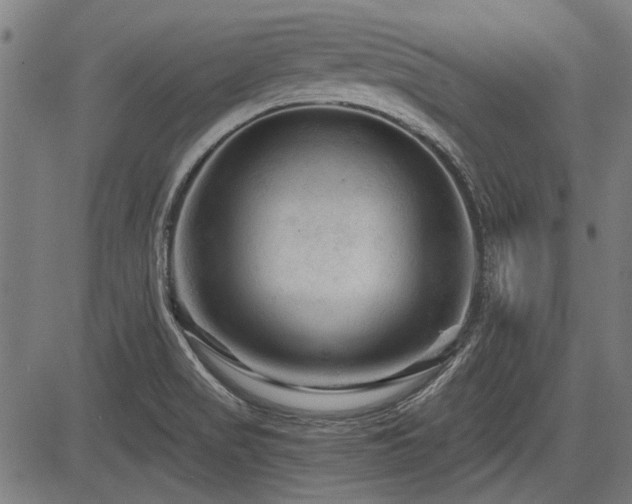 X0000083611517200702121102