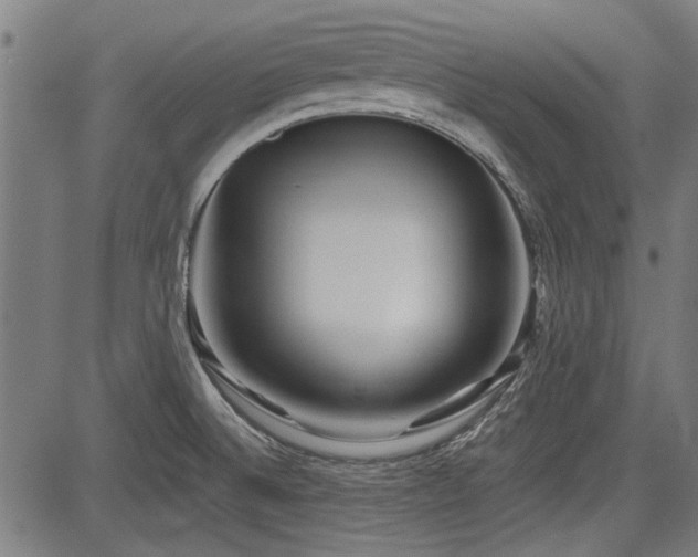 X0000083611524200702121102