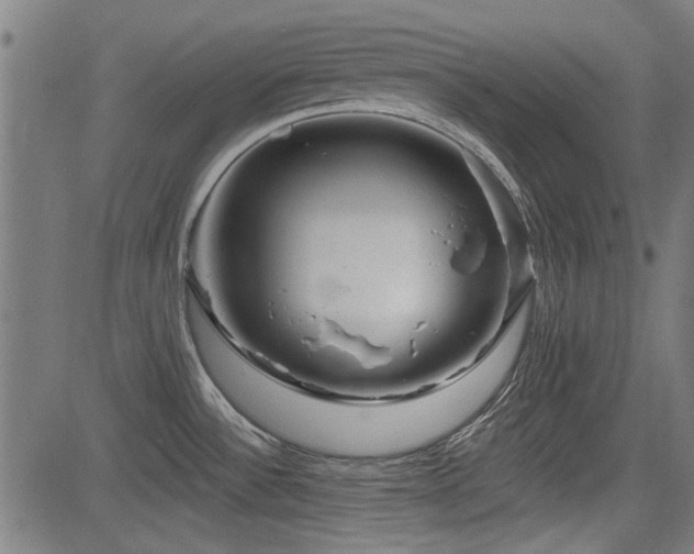 X0000083611532200702121102