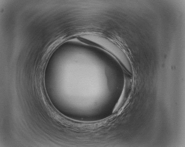 X0000083610001200702201302