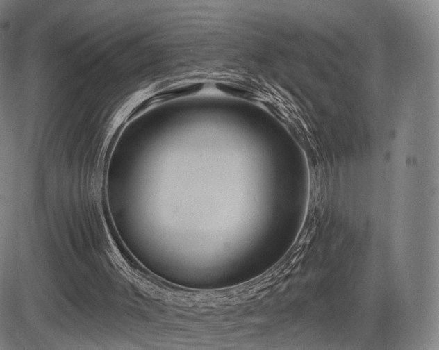 X0000083610003200702201302