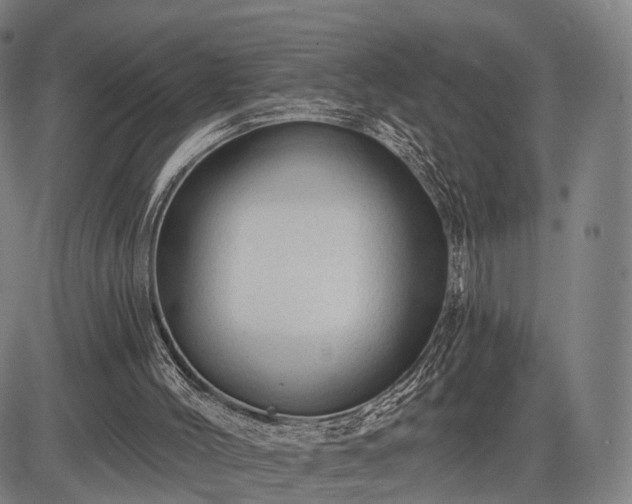 X0000083610004200702201302