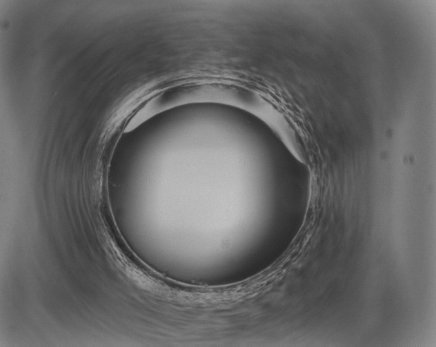 X0000083610005200702201302