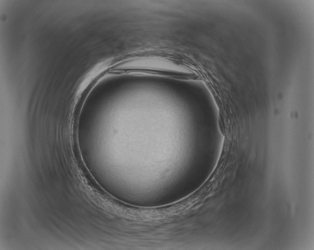 X0000083610006200702201302