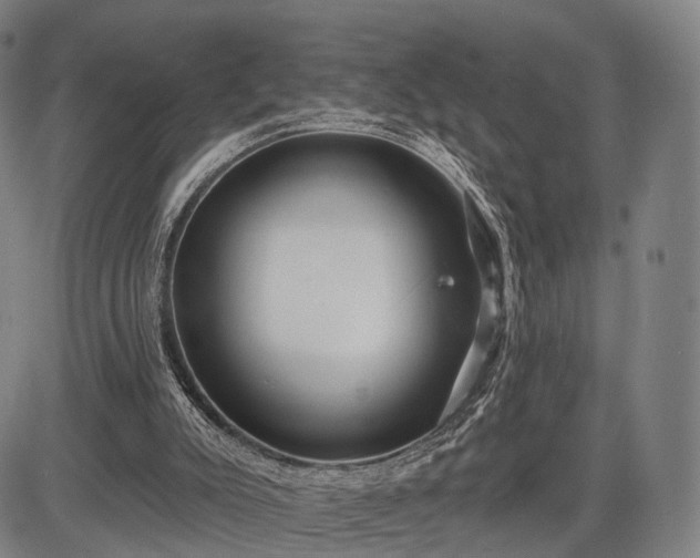 X0000083610007200702201302