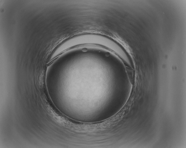 X0000083610009200702201302