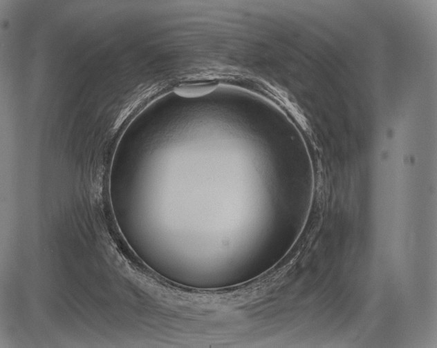 X0000083610010200702201302