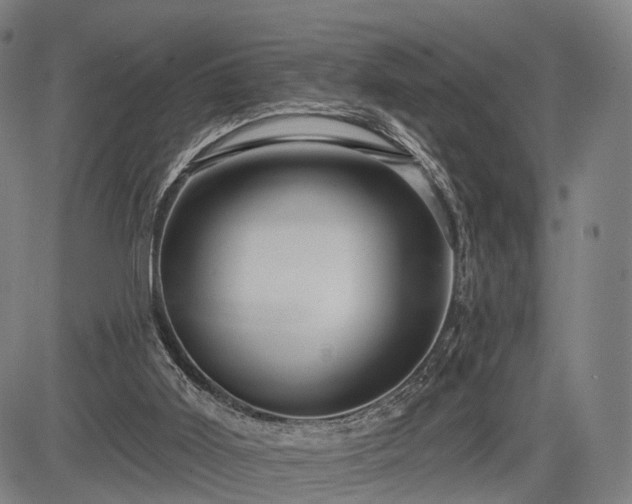 X0000083610011200702201302