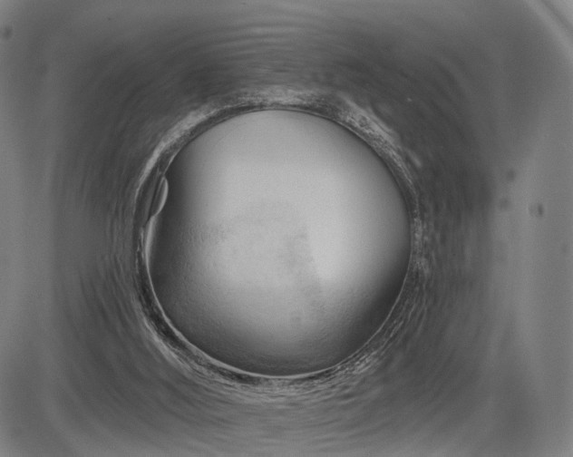 X0000083610012200702201302