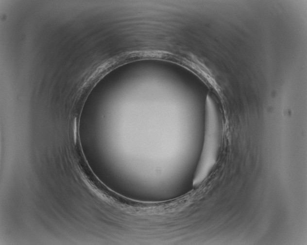 X0000083610013200702201302