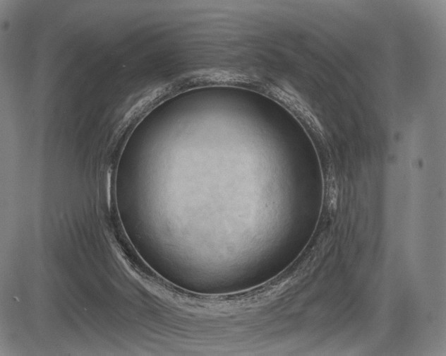 X0000083610014200702201302