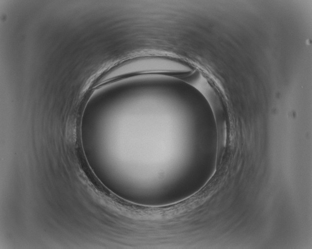 X0000083610015200702201302