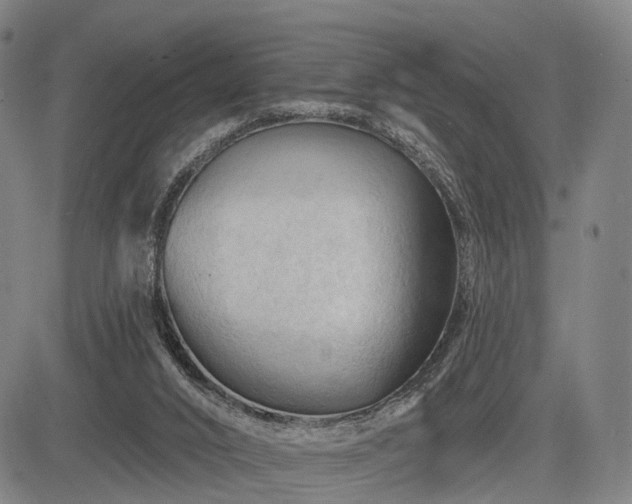 X0000083610016200702201302